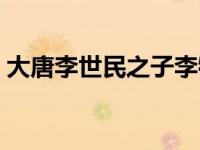 大唐李世民之子李牧的小说（大唐李泰简介）