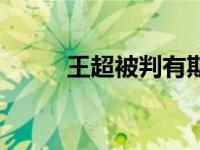 王超被判有期徒刑（王超斌简介）
