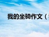 我的坐骑作文（我的坐骑天下第二简介）