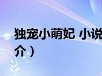 独宠小萌妃 小说（独家宠爱：萌萌小甜妃简介）