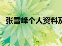 张雪峰个人资料及简介（清宫良妃传简介）