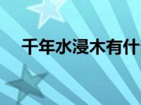 千年水浸木有什么用（千年水沉木简介）