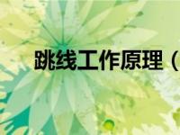 跳线工作原理（跳线-金属连接线简介）