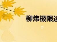 柳炜极限运动（柳炜炜简介）