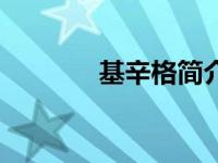基辛格简介（西村雄一简介）