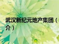 武汉新纪元地产集团（武汉新纪元财富资产管理有限公司简介）