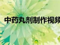 中药丸剂制作视频（辅正丸-中药丸剂简介）