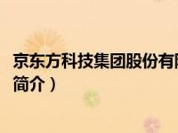 京东方科技集团股份有限公司（兰州民百-集团股份有限公司简介）