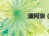 潘阿崇（Panache简介）