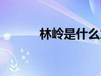 林岭是什么意思（林岭南简介）