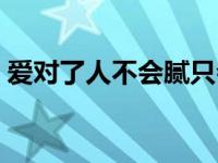 爱对了人不会腻只会越来越爱（爱对了简介）