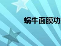 蜗牛面膜功效（蜗牛面膜简介）