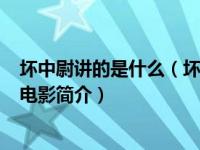 坏中尉讲的是什么（坏中尉-美国2009年尼古拉斯凯奇主演电影简介）