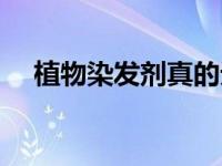 植物染发剂真的无害吗（植物染发简介）