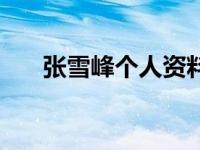 张雪峰个人资料及简介（血杀界简介）