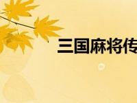 三国麻将传（三国麻将3简介）