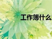 工作簿什么意思（工作簿简介）