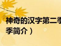 神奇的汉字第二季冠军之战（神奇的汉字第二季简介）