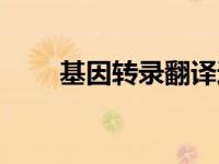 基因转录翻译过程（基因转录简介）