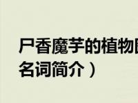 尸香魔芋的植物图片（尸香魔芋-鬼吹灯专用名词简介）