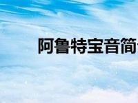 阿鲁特宝音简介（阿鲁特宝音简介）