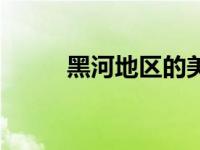 黑河地区的美女（黑河奈美简介）