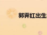 郭霁红出生年月（郭霁虹简介）