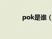 pok是谁（poko show简介）