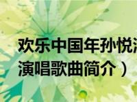 欢乐中国年孙悦演唱视频（欢乐中国年-孙悦演唱歌曲简介）