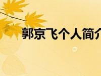郭京飞个人简介资料（郭京毅案简介）