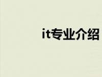 it专业介绍（IT专业英语简介）