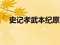 史记孝武本纪原文注释（孝武本纪简介）