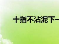 十指不沾泥下一句（十指不沾泥简介）
