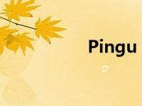 Pingu（PINGU简介）