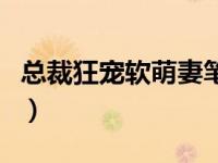 总裁狂宠软萌妻笔趣阁（总裁狂宠刁蛮妻简介）