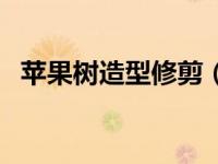 苹果树造型修剪（苹果树的整形修剪简介）