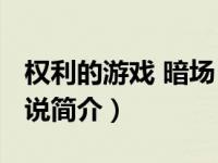 权利的游戏 暗场（权力的游戏-暗夜文学网小说简介）
