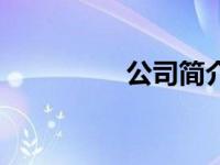 公司简介（庄有正简介）