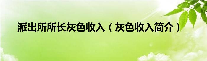 灰色收入所长派出所简介