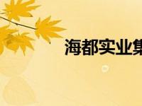 海都实业集团（海都网简介）