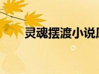 灵魂摆渡小说原著（摆渡-小说简介）