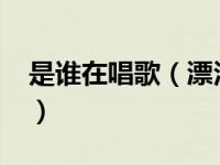 是谁在唱歌（漂泊的人-袁东方演唱歌曲简介）