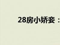 28房小娇妾：花心相公欠调教简介