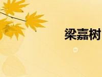 梁嘉树（梁嘉杰简介）