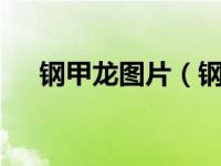 钢甲龙图片（钢甲卡卡龙连环画2简介）