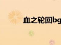 血之轮回bgm（血之轮回简介）