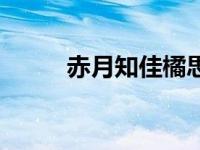 赤月知佳橘思徒（赤月知佳简介）