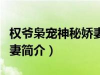 权爷枭宠神秘娇妻简介全文（权爷枭宠神秘娇妻简介）