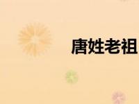 唐姓老祖（长老姓唐简介）