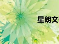 星朗文化（星朗简介）